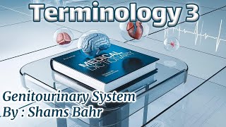 3 Genitourinary system  Terminology by Shams Bahr [upl. by Cattier]