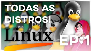 NAVEGANDO NO FUNDO DO MUNDO LINUX EP1 [upl. by Anihpesoj133]