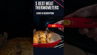 5 Best Meat Thermometers [upl. by Atworth]