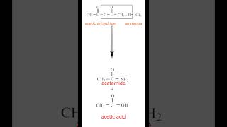 Ammonolysis of Acetic anhydride  Acetic acid  Acetamide  Organic Chemistry  Class 12 [upl. by Obla]