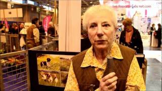 Epagneul Breton  Reportage au salon de lAgriculture [upl. by Llertrac]