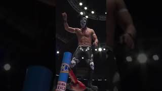 Legendario y dragón de fuego vs los calavera 1 y 2 luchadores contenido luchalibre cmll [upl. by Hollington575]