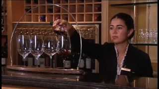 Discover The Wines of Chile Part 1 of 2 [upl. by Ervine785]