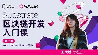 第二课2：substrate本地网络启动｜Substrate 区块链开发入门课 [upl. by Eilyw]