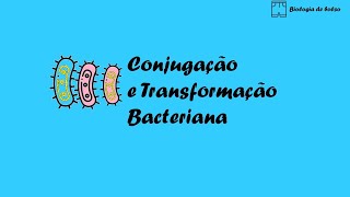 Conjugação e Transformação Bacteriana [upl. by Eliathas302]