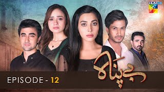 Bepanah  Episode 12   Eshal Fayyaz  Khaqan Shahnawaz  Kanwal Khan  5th November 2022  HUM TV [upl. by Niak]