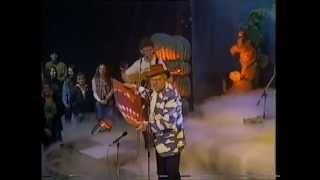 Rolf Harris  Stairway To Heaven  Top Of The Pops  Thursday 11th February 1993 [upl. by Nnasus]