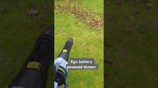 Using the Ego blower today See what you think gardeningtools blowers garden leaves autumn me [upl. by Yssirk627]