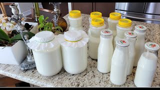 How to Make the Sweetest Homemade Milk Kefir even Sweeter [upl. by Chrissie]