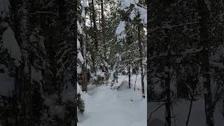 Video of Kettle Pond State Park Campground VT from Miccal M [upl. by Brookner130]