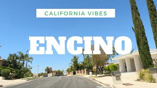 Encino Serenity In 4K  Exploring Los Angeles California  California Vibes [upl. by Sherrill899]