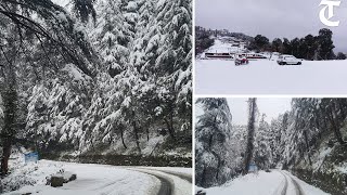 Solan Fresh snow wraps Chail in white blanket [upl. by Krissy162]