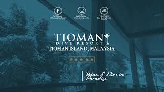 Tioman Dive Resorts  Welcome to TDR [upl. by Lalib]