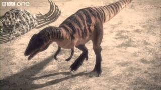 Carcharodontosaurus  Planet Dinosaur  Episode 1  BBC [upl. by Matelda]