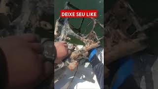 apex 💥OBJETO muito pesado na pesca magnética pescamagnetica magnetfishing [upl. by Kleper]