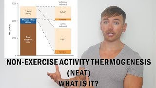 What Is NEAT NonExercise Activity Thermogenesis [upl. by Argent]