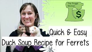 Quick amp Easy Duck Soup Recipe for Ferrets [upl. by Teddy]