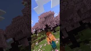 doner mine raft nacho [upl. by Eustache953]