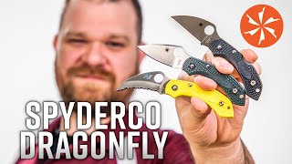 Spyderco Dragonfly 2 Available at KnifeCentercom [upl. by Yelhak]