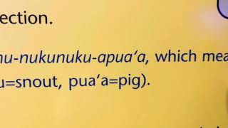 Humuhumunukunukuapua’ā [upl. by Ecienaj]