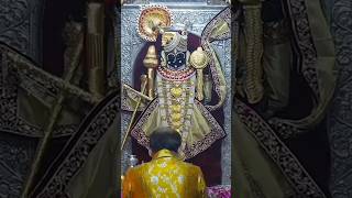 Shri Dwarkadhish temple Aarti Darshan🙏shree Dwarkadhish Jagad Mandir DwarkaMangla Aartitrending [upl. by Barbarese271]