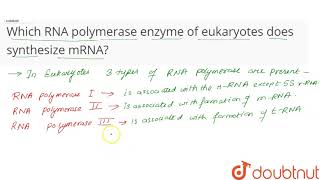 Which RNA polymerase enzyme of eukaryotes does synthesize mRNA [upl. by Atiekal]