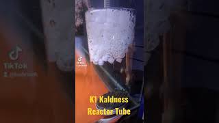 K1 Kaldness  Filter Biologis  K1 Kaldness Tube [upl. by Ardnuassak588]