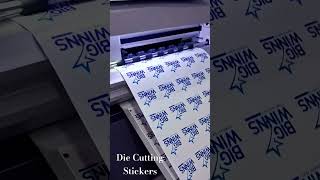 Waterproof Personalised Die Cut Stickers graphics sticker urgent label packaging customized [upl. by Phylis]