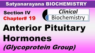 Chp19 Satyanarayana Biochemistry  Anterior Pituitary Hormones  Glycoprotein Group  FSH  LH [upl. by Bina]