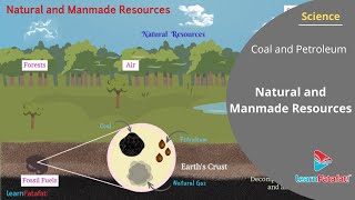 Coal and Petroleum Class 8 Science  Natural and Man made Resources [upl. by Oniliuqnart]