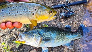 Small Creek Fishing Adventure [upl. by Eelnayr]