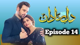 DileNadan Episode 14pakistani drama top reviews 05pakistani drama reveiws harpalgeo [upl. by Yrroc803]