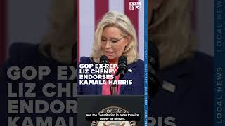 ExGOP Rep Liz Cheney is endorsing Kamala Harris Heres why [upl. by Susette]