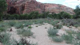 Escalante Natural Bridge [upl. by Nitsreik]