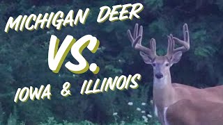 Michigan Bucks Compared to Iowa and Illinois [upl. by Biggs964]