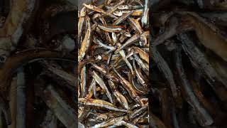 anchovies fish driedfish anchovy food dilis shorts subscribe like share gurayan❤️❤️❤️❤️❤️ [upl. by Branch]