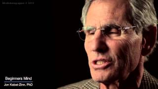 Jon KabatZinn Mindfulness 9 attitudes  beginners mind [upl. by Annaesor]