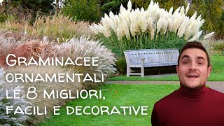 8 Graminacee ornamentali facili e decorative per il giardino🌾 [upl. by Aidyl]