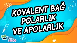 C3  KOVALENT BAĞ  POLARLIK VE APOLARLIK [upl. by Kathlin]