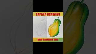 papaya drawing with colours Mimis Drawing Zone papaya drawing pencildrawing shortsvideo [upl. by Leiria]