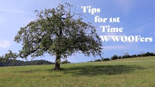 WWOOF  10 Tips for 1st Time WWOOFers [upl. by Eseuqcaj]