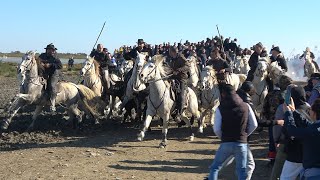 STESMARIES DE LA MERAbrivados des Plages11112024 [upl. by Etnor]