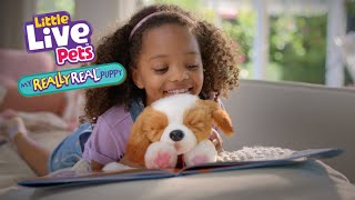 LITTLE LIVE PETS I MY REALLY REAL PUPPY TVC I 30 [upl. by Cathyleen]