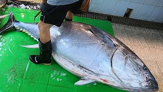 Over 300 kg Giant Bluefin Tuna cutting for Sashimi  Taiwanese street food [upl. by Mavilia]