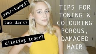 TIPS FOR TONING or COLOURING POROUS amp DAMAGED HAIR  my experiences [upl. by Noxin830]