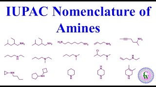 IUPAC Namenclature of amines [upl. by Nasya363]