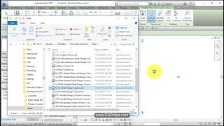 REVIT STRUCTURAL PROJECT 01 TEMPLATE AND FAMILIES [upl. by Orpheus]