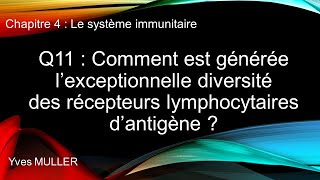 Chap 4  Le système immunitaire  Q11  Comment est générée la diversité des récepteurs dantigène [upl. by Fife]