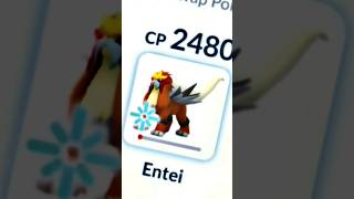 10HP Entei 1 VS 3 clutch in Pokemon Go pokemon pokemongo youtubeshorts [upl. by Eidac]