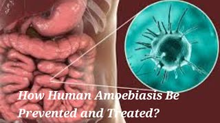 How can Human Amoebiasis be Prevented and Treated [upl. by Hannibal24]